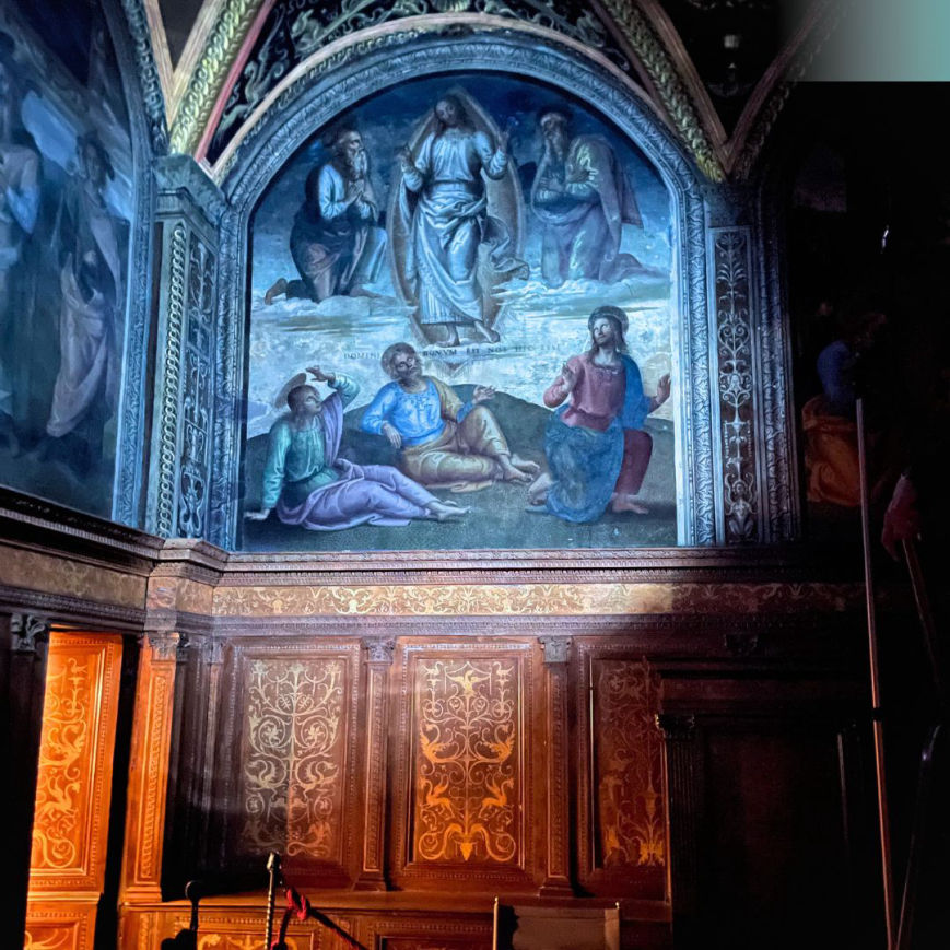 Attività diagnostica al Collegio del Cambio, Perugia